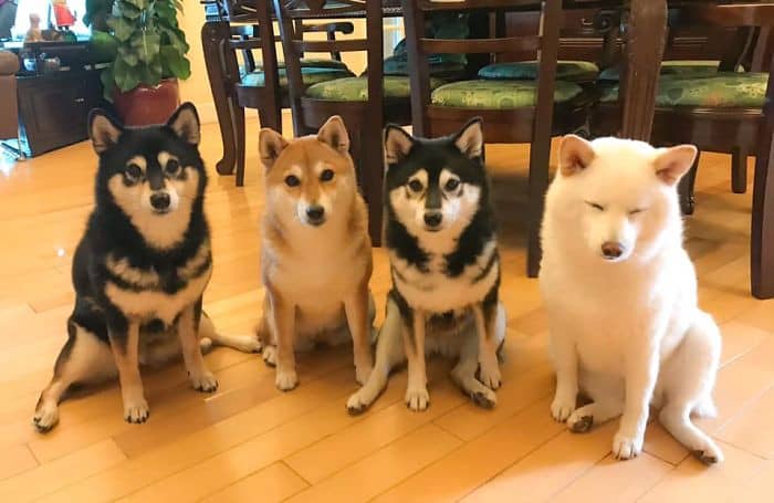 30. Are we done yet? I'm due for a nap.